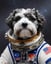 Astronaut Dog Portraits image 10
