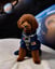 Astronaut Dog Portraits image 14