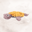 Sniffing Carpet Morgana Turtle image 3
