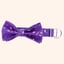 Bow Tie Dog Collars image 3