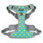 Winxie Harness Set image 7