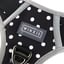 Winxie Harness Set image 18
