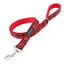 Winxie Harness Set image 14