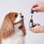 Hemp Oil With 350mg Naturally Occuring CBD For Small Dogs image 2
