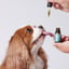 Hemp Oil With 350mg Naturally Occuring CBD For Small Dogs image 4