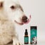 Hemp Oil With 700mg Naturally Occuring CBD For Medium Sized Dogs image 1