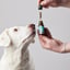 Hemp Oil With 700mg Naturally Occuring CBD For Medium Sized Dogs image 2