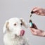 Hemp Oil With 700mg Naturally Occuring CBD For Medium Sized Dogs image 4