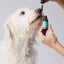 Hemp Oil With 1000mg Naturally Occurring CBD For Large Dogs image 4