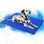 Dog Cooling Mat - 15.5 x 19.5 inch image 4