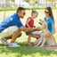 Flea & Tick Prevention Collar - for Dogs & Puppies image 1