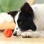 Chewtastic Geometrics Natural Rubber Interactive Toys Geo-Hex Orange image 5