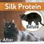 Dog and Cat Wipes for Pet Grooming with Chlorhexidine and Silk Protein image 2