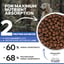 Lamb & Fresh Salmon 2kg - Adult - All breeds image 1