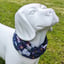 Dog Bandana with Built-In, No Nasties Flea & Tick Repellent  | Cottage Garden image 1