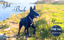 FMO Pet Alert Tag image 2
