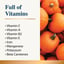 Organic Pumpkin Powder for Dogs 100g image 1