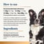 Organic Pumpkin Powder for Dogs 100g image 5