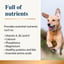 Whole Goat Milk Powder for Dogs & Cats image 4