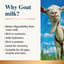 Goat Milk Plus Powder for Dogs & Cats - Single Pack image 2