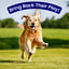 Joint Protection Chews image 13