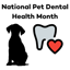 The Doggy Dentist Bundle image 3