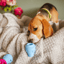 The Doggy Dentist Bundle image 4