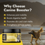 Canine Booster image 1