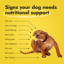 Canine Booster image 3