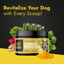 Canine Booster image 7