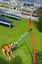 Outdoor Tug Pole with Rope, Ball, Tire, Treats Package image 2