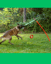 Outdoor Tug Pole with Rope, Ball, Tire, Treats Package image 8