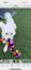 Candy 3 -1  Fetch - Tug of War -Shake image 3