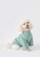 Best Buddy Shirt - Mint Green image 4