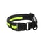 Collar Flitzy image 2