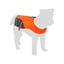 Safety Vest Fizz Orange & Grey image 9