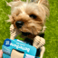 BetterBone LIGHT Chew Toy image 7