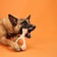 BetterBone HARD Chew Toy image 6
