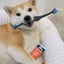 4 Brushing Kits image 3