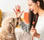 Combo BrushMate Pet Toothbrush & Medium BiteBlock- Dog Oral Care image 2