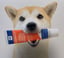 Enzymatic Dog Toothpaste - 1 Pack 70g- Best dog Toothpaste image 10
