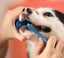 BiteBlock Medium -Pets 15-85 lbs image 8