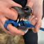 BrushMate Pet Toothbrush- Best dog toothbrush image 6