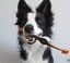 BrushMate Pet Toothbrush- Best dog toothbrush image 2