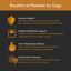 Maitake Mushroom Extract Powder for Dogs image 2