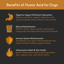 Humic Acid for Dogs | Borvo Nutrients image 2