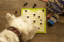 LickiMat Tuff Playdate image 2