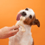 BetterBone Chew Toy - Venison image 3