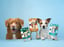 BetterBone Chew Toy - Venison image 8