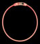 Hond Halsband Raina Visio image 3